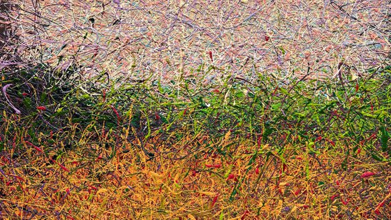 Whispers in Amber