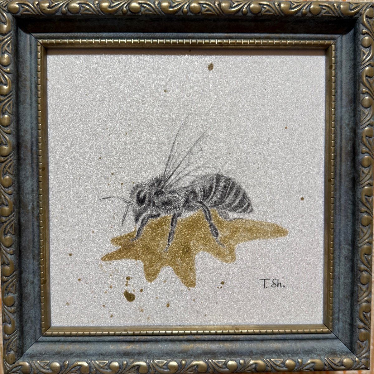 Photorealistic Pencil Drawing , Bee And Honey By Tina Shyfruk, 7 X 7, Artwork For Sale On Artfinder