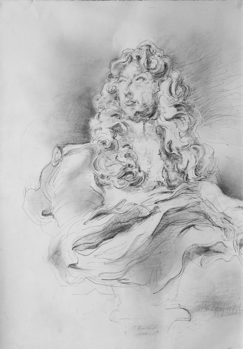 Louis XIV by Paul Brandford