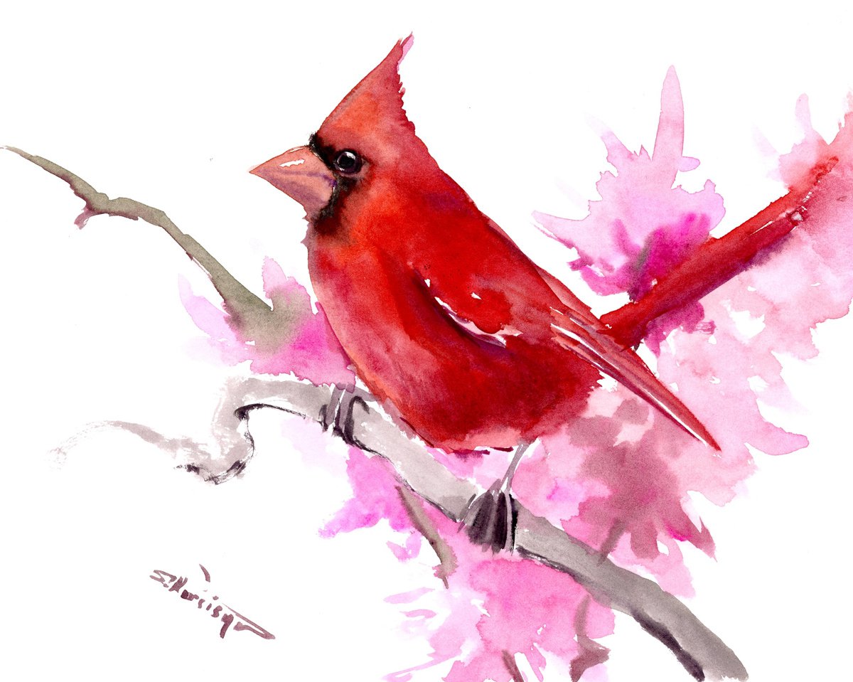 Cardinal Bird by Suren Nersisyan
