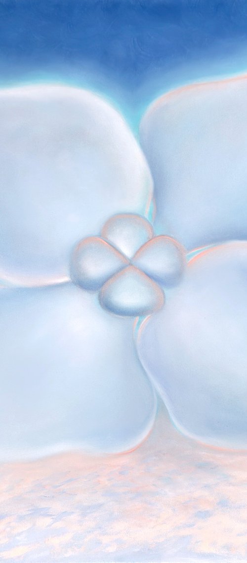 Hydrangea (Flowers) by Elena Kurochko