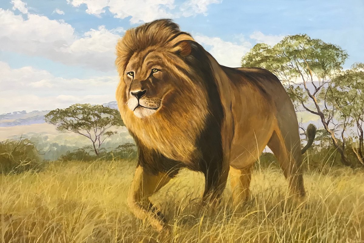 Original oil painting Lion in preirie - 120x80 cm (2021) by Evgeniya Roslik