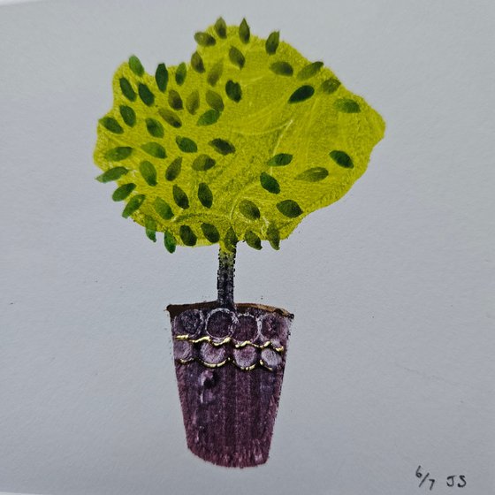 Little Tree