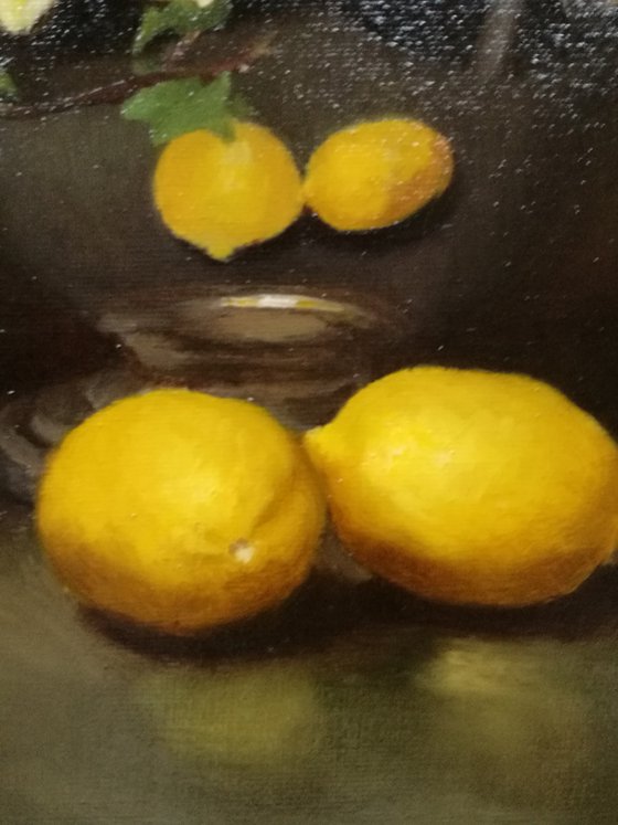 Still life with ivy, lemons and frangipani