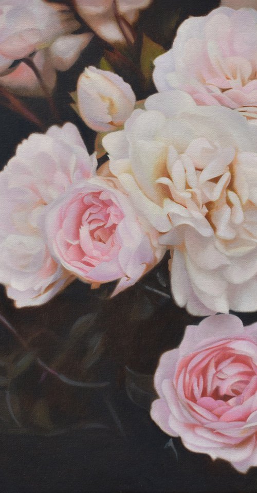 Evening Roses. by Vera Higgins