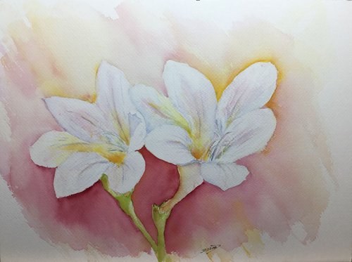 White lily by Sabrina’s Art