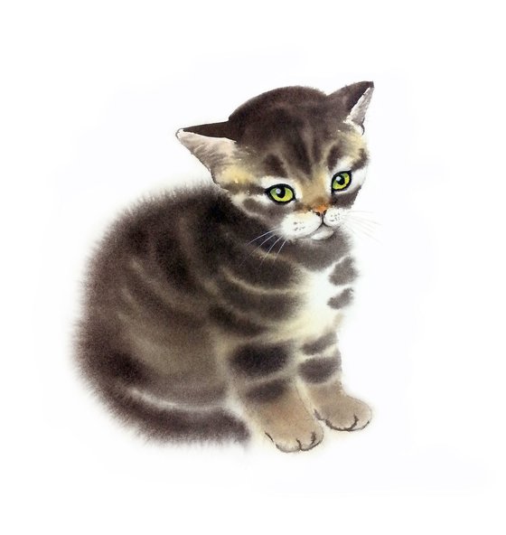 Fluffy Tabby Kitten #4 - Tabby Cat - Kitten Painting - Kitty