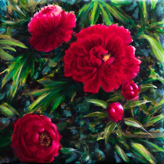 Red peonies - floral painting