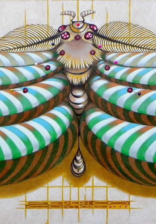 Fibonacci moth by Federico Cortese