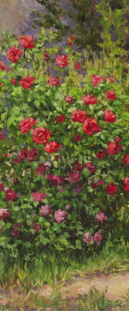 Rose bush by Vachagan Manukyan