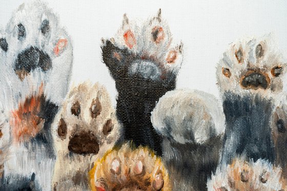 Colorful Cat Paws