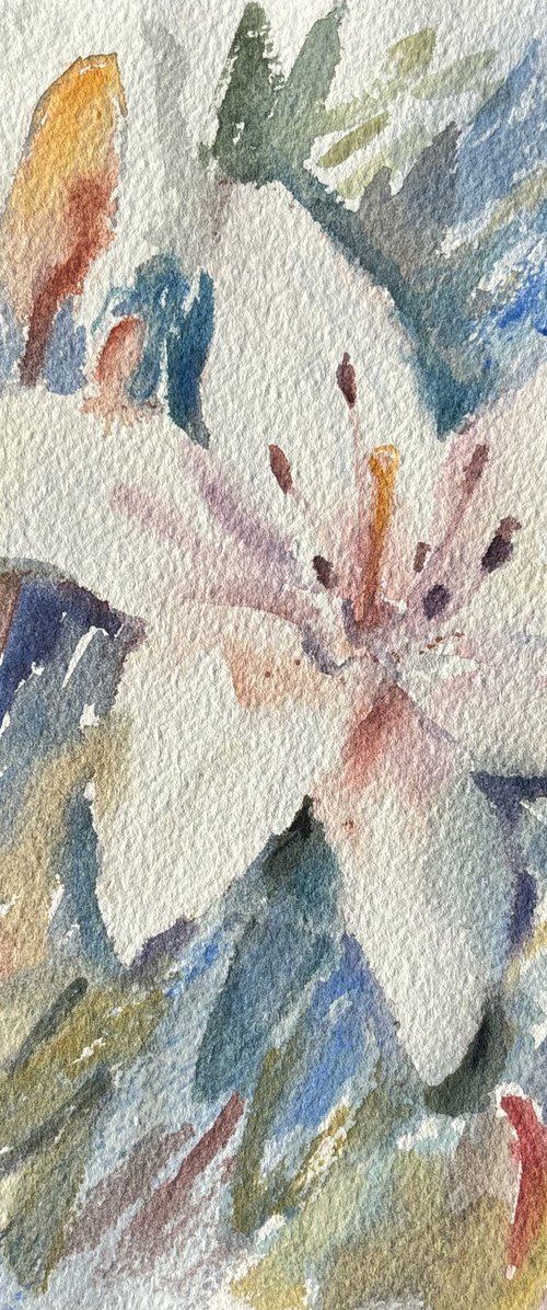 Pearl white lily by Elena Lykhodid