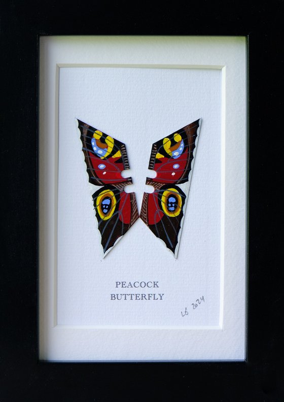 Peacock butterfly