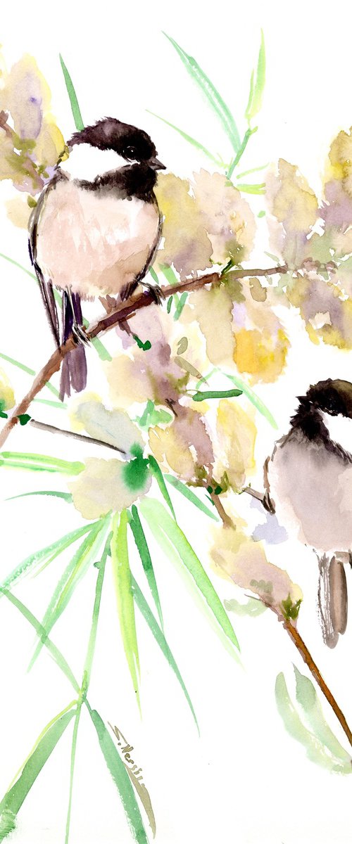 Chickadees birds in the spring by Suren Nersisyan