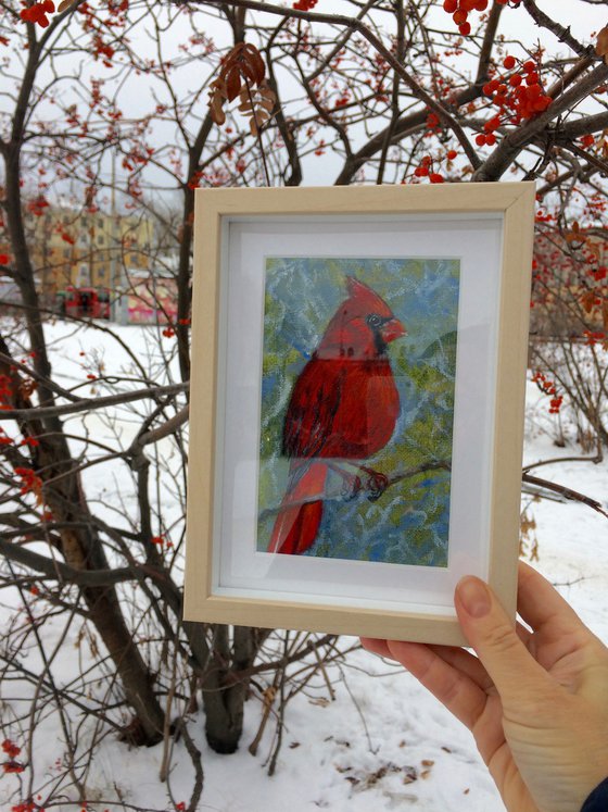 Bird oil painting - Red cardinal small canvas in frame - Christmas gift idea for bird lover