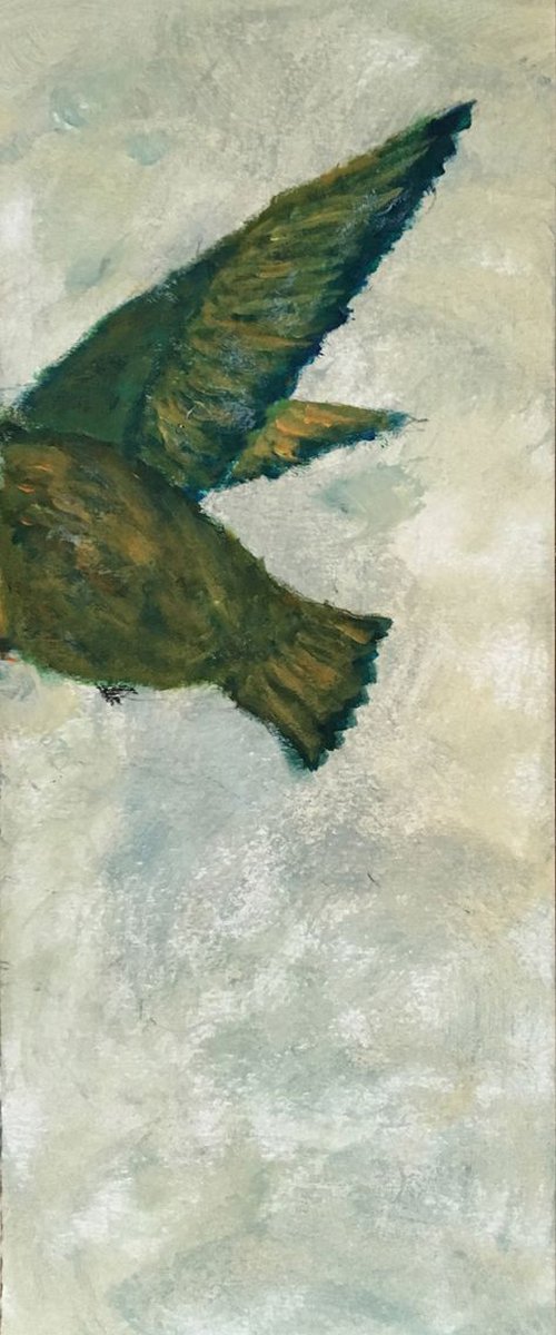 Study of hummingbird V c by Paola Consonni