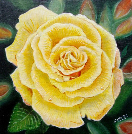 Rose in the Garden