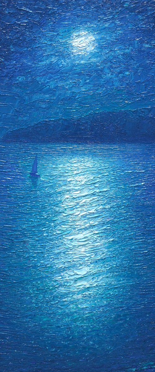 Moon Shadow by Dmitry Oleyn
