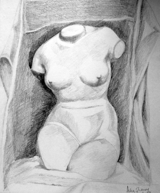 A study of a Nude Torso Cast