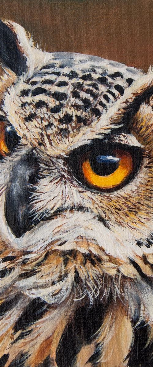 Owl by Norma Beatriz Zaro