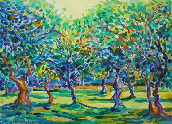 Breeze in olive orchard II