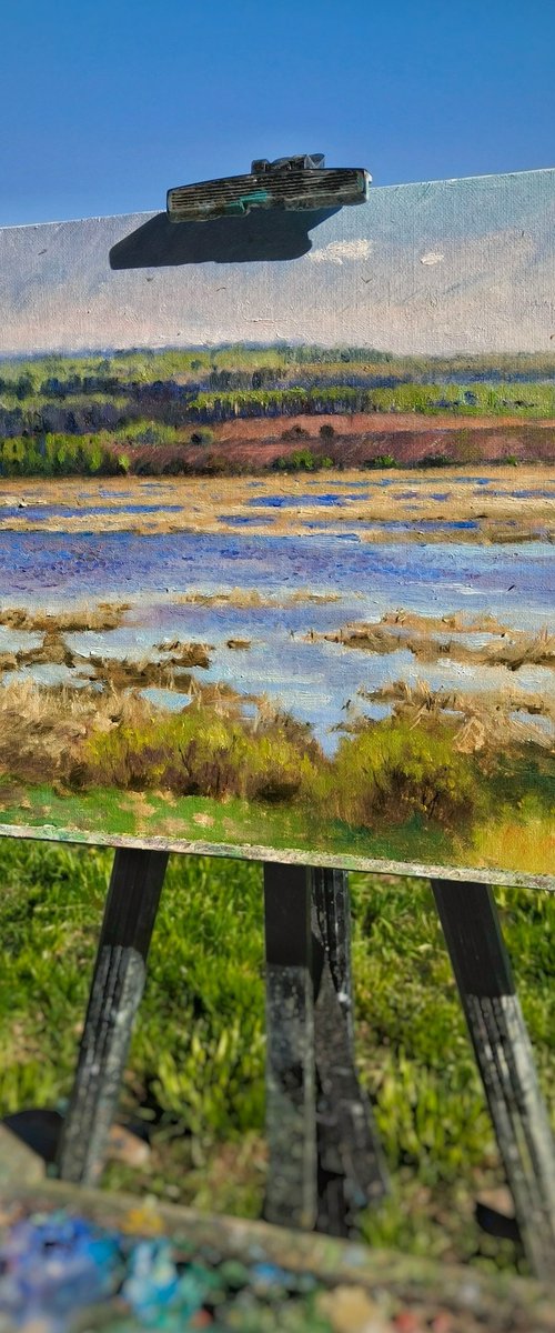 The Menzelya river by Olga Goryunova