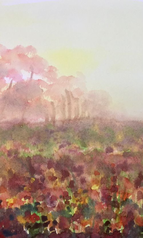 Pink blossoms at dusk by Samantha Adams