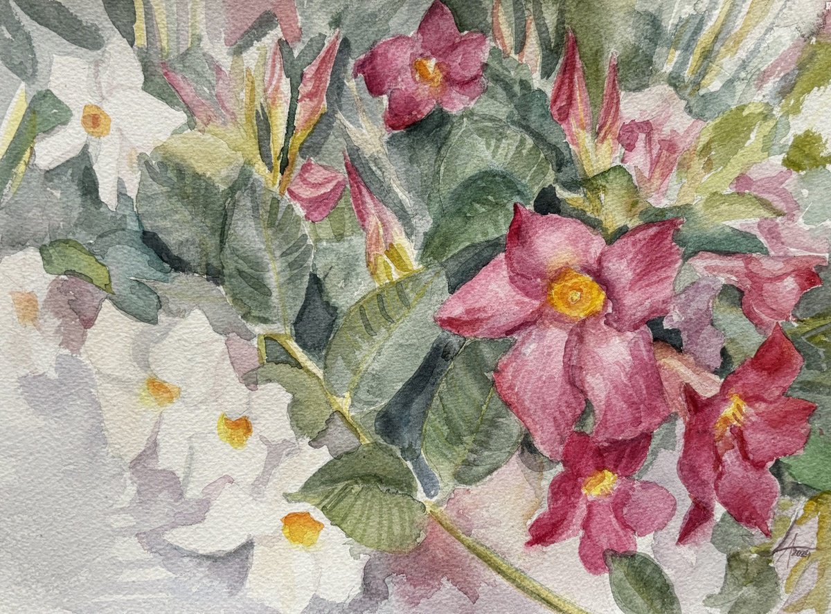 Impressionistic Botanical Watercolour By Elena Lykhodid, 12 X 9, White And Pink, Original Artwork