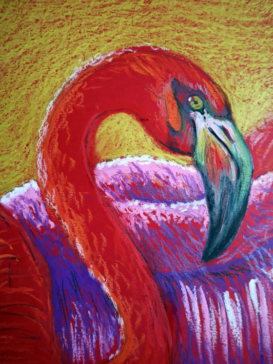 Flamingo on Gold -Blazing Gradient