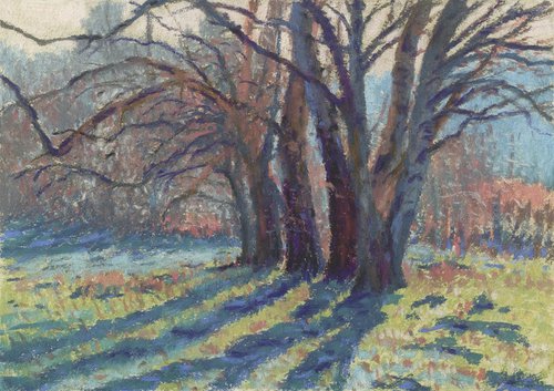 Spring sunlight through birch trees original pastel drawing by Mark Taylor