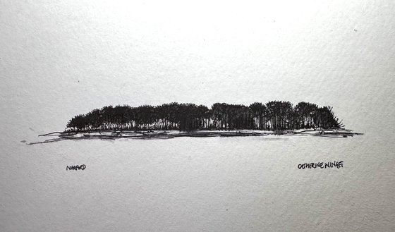 Trees in Pen and Ink - Norfolk Landscape