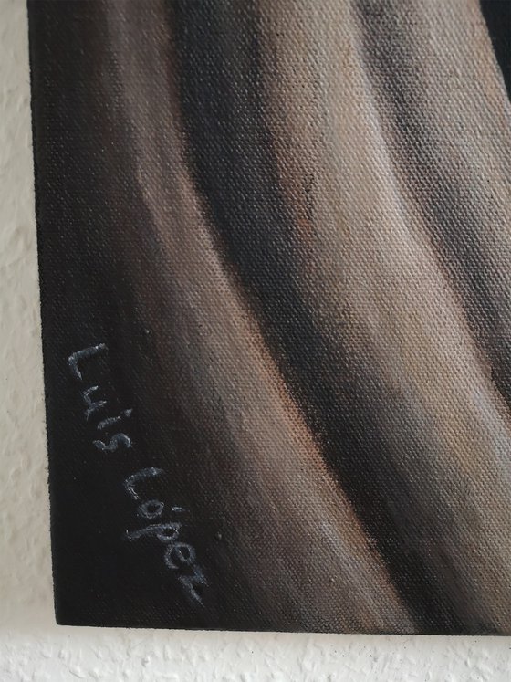 A Day in Paradise: Apples or Oranges