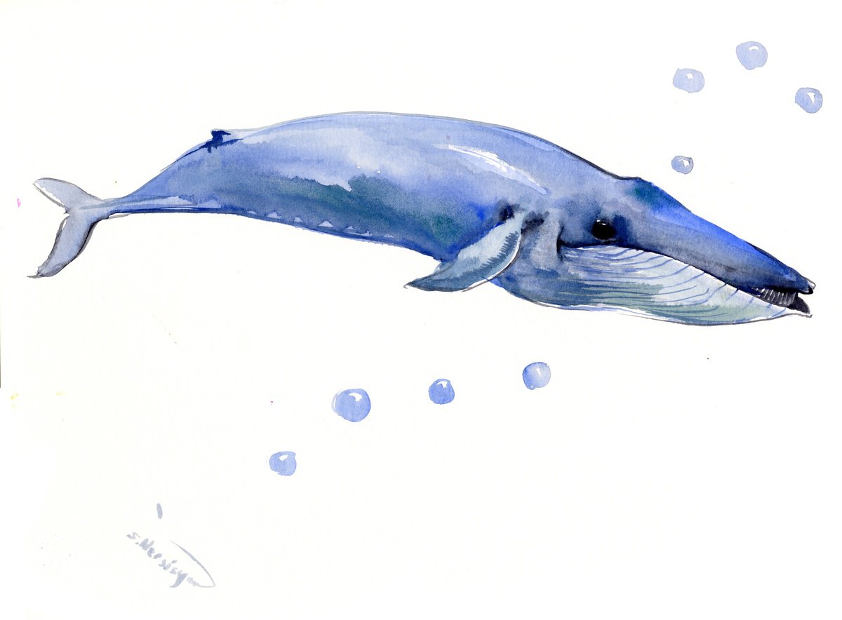 Blue Whale by Suren Nersisyan