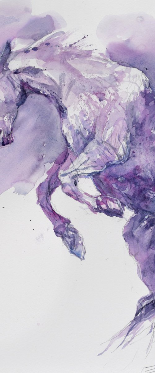 Prancing horse in purple by Goran Žigolić Watercolors