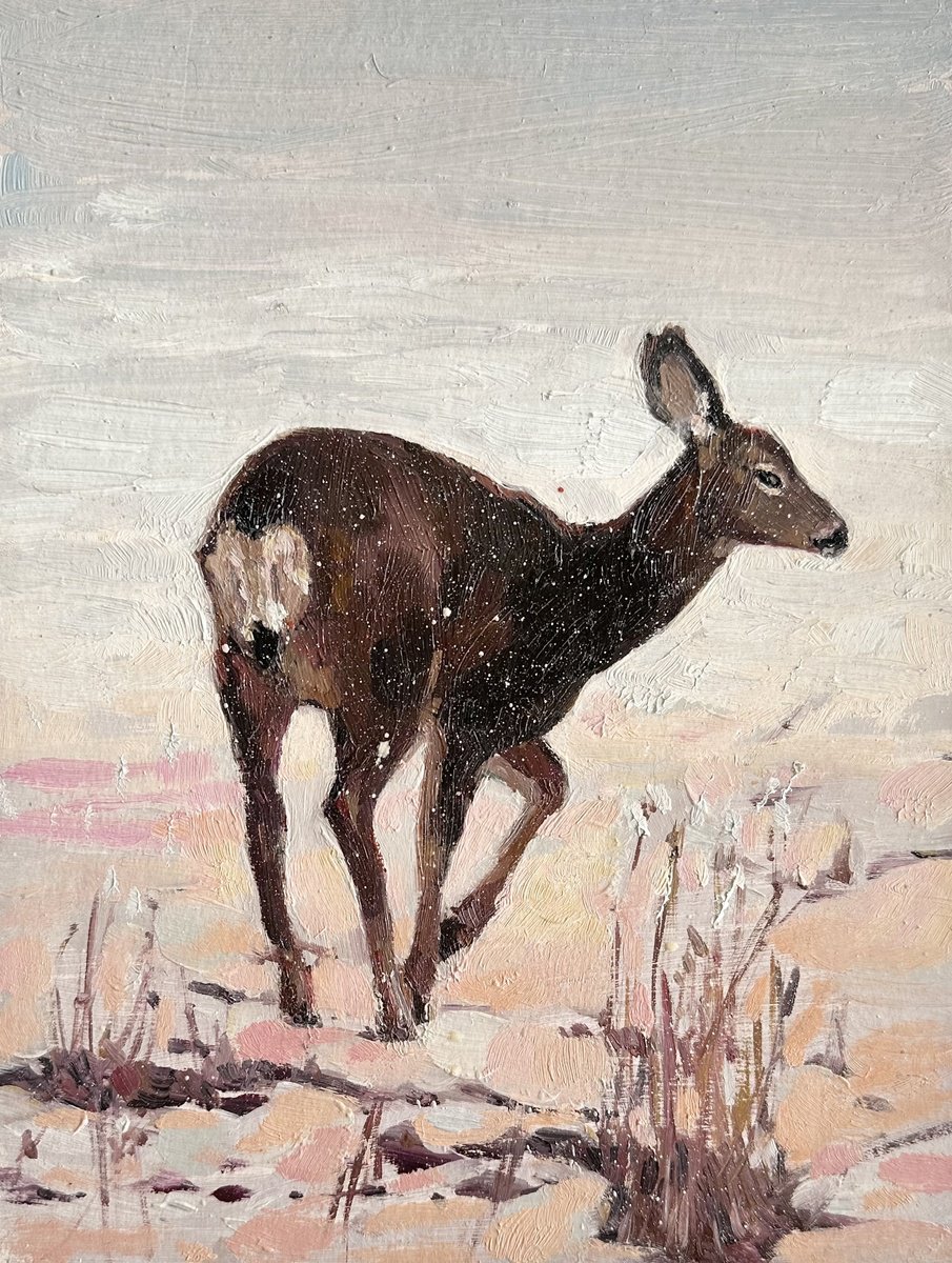 Impressionistic Animal Oil Painting By Olha Retunska, 7 X 9", Deer, Original Artwork