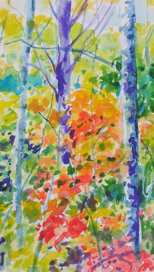 Octobers forest by Maja Grecic