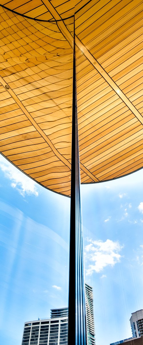 IN THIS CORNER OF THE CITY by William Dey