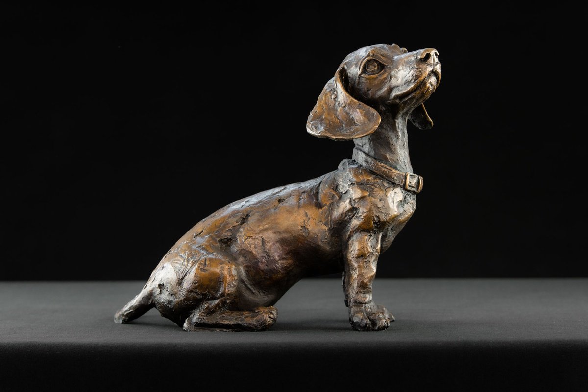 Dachshund Puppy Foundry Br by Tanya Russell