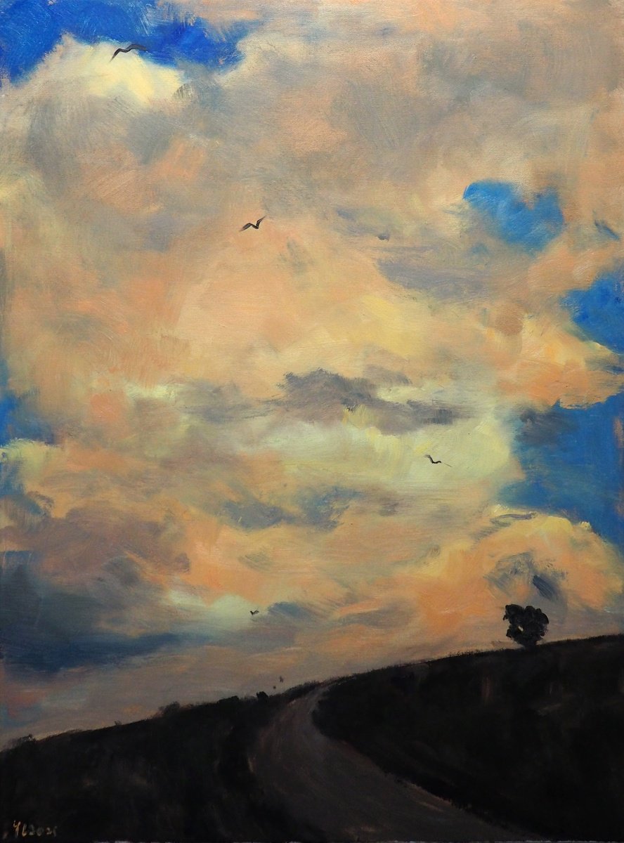 Impressionistic Landscape Oil Painting By Yuanyuan Liu, 24 X 31", Clouds, Original Artwork