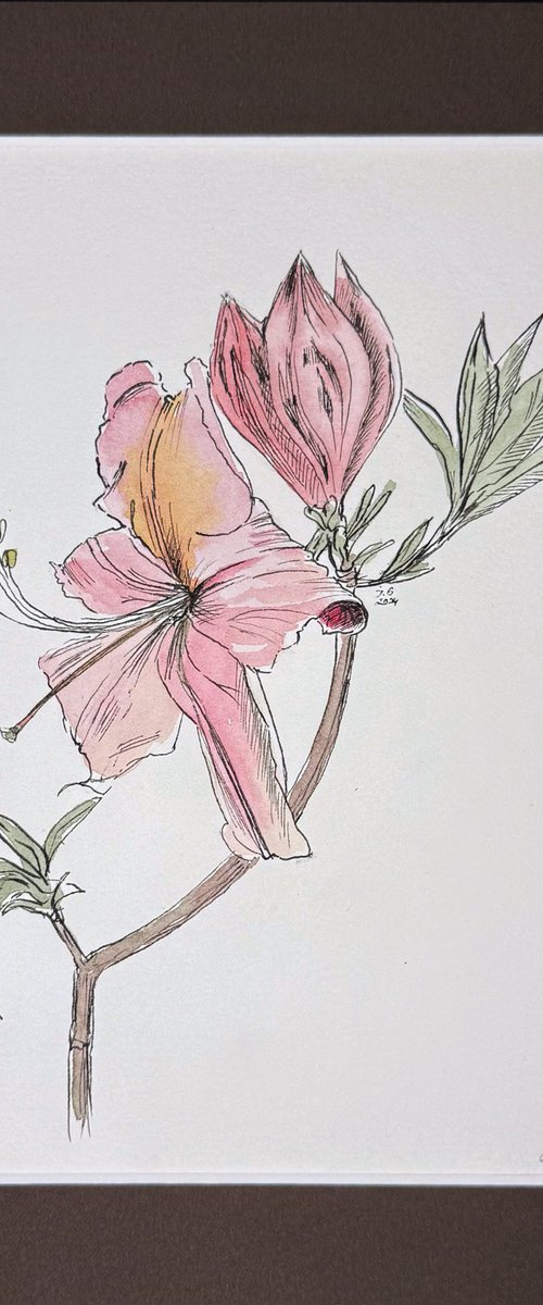 Camellia flower by Julia Gorislavska