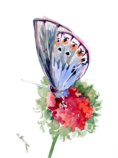 Butterfly by Suren Nersisyan