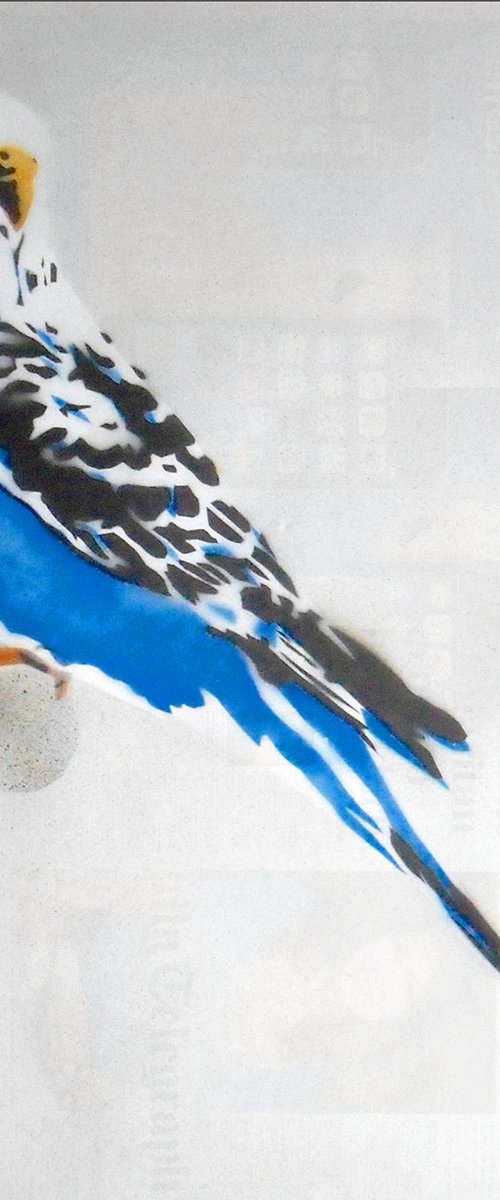 GRANDMA'S BUDGIE (UB). by Juan Sly