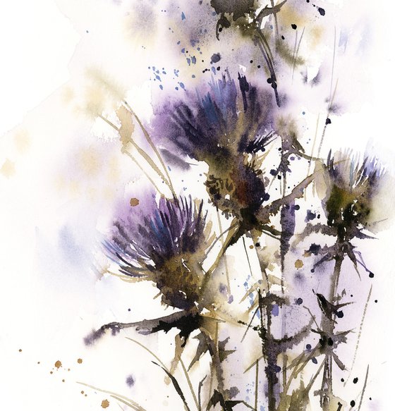 Purple Thistle Flowers