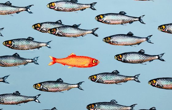 Red herring