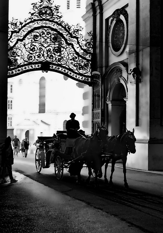 " Vienna. Austria. Midday silhouette "