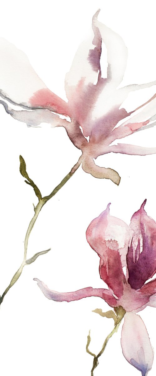 Magnolia No. 40 by Elizabeth Becker
