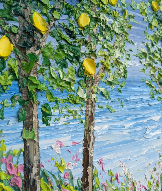 Lemon tree bay