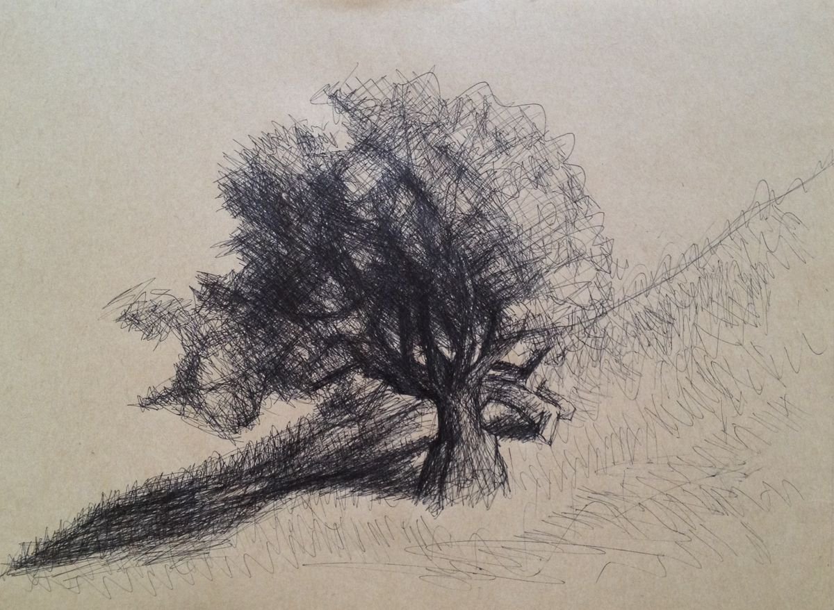 Hillside Tree and Shadows by David Lloyd