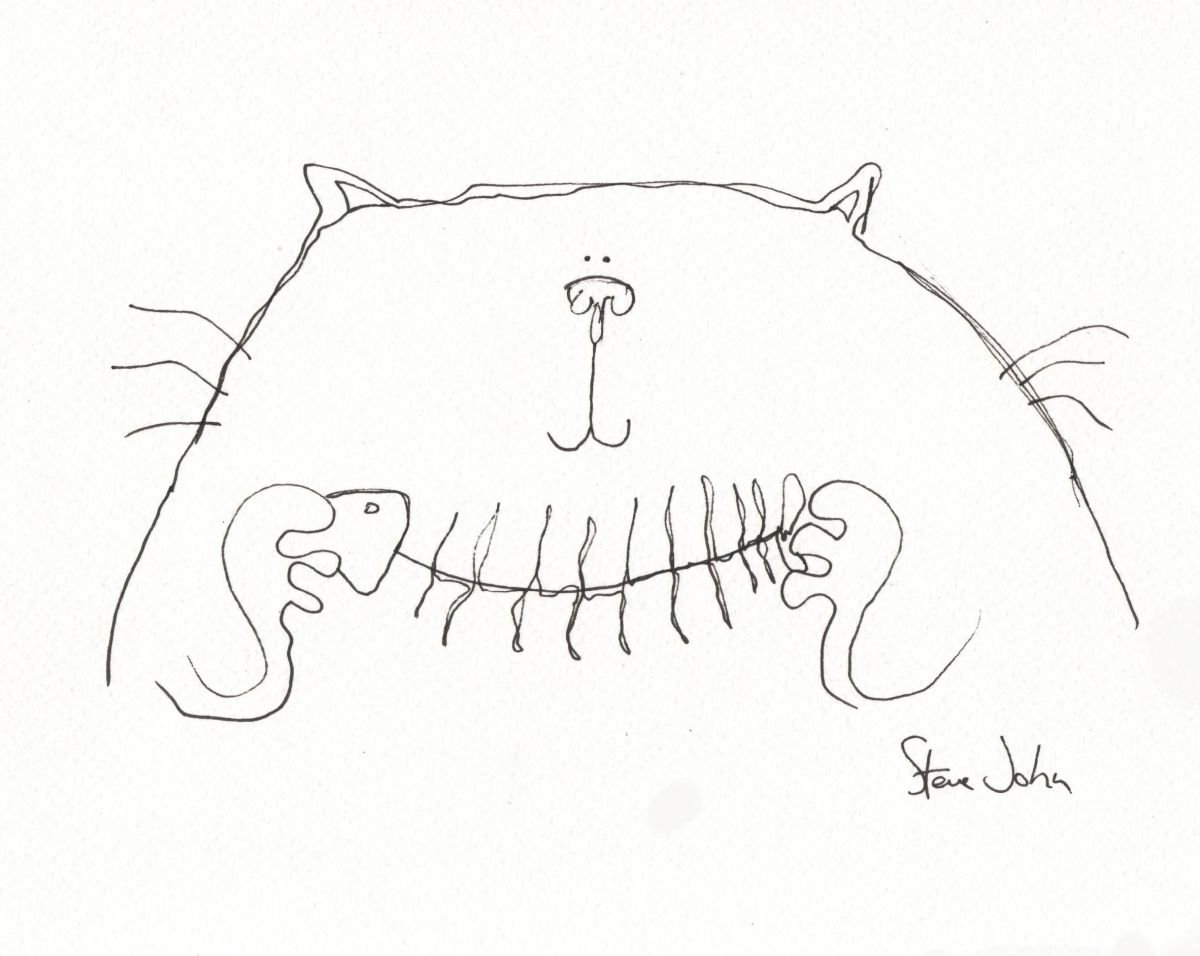 Nibbles the Cat by Steve John