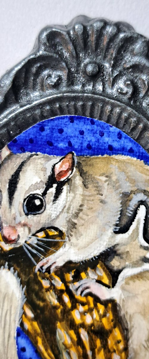 Sugar glider by Andromachi Giannopoulou